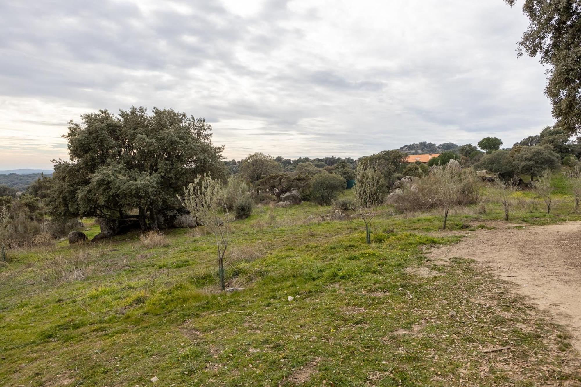 Finca El Olivo De Fresnedillas Fresnedillas de la Oliva 外观 照片